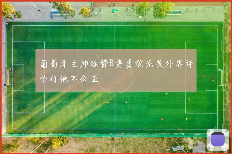 葡萄牙主帅称赞B费勇敢无畏外界评价对他不公正