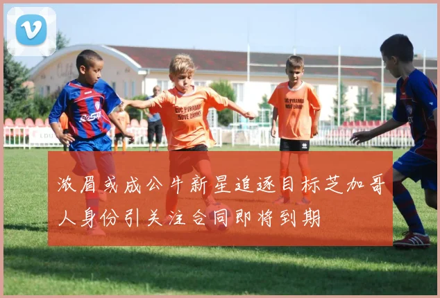 浓眉或成公牛新星追逐目标芝加哥人身份引关注合同即将到期