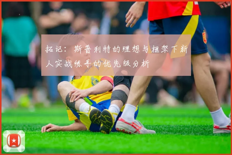 拓记：斯普利特的理想与框架下新人实战练手的优先级分析