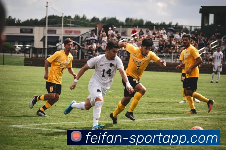 非凡体育发展历程